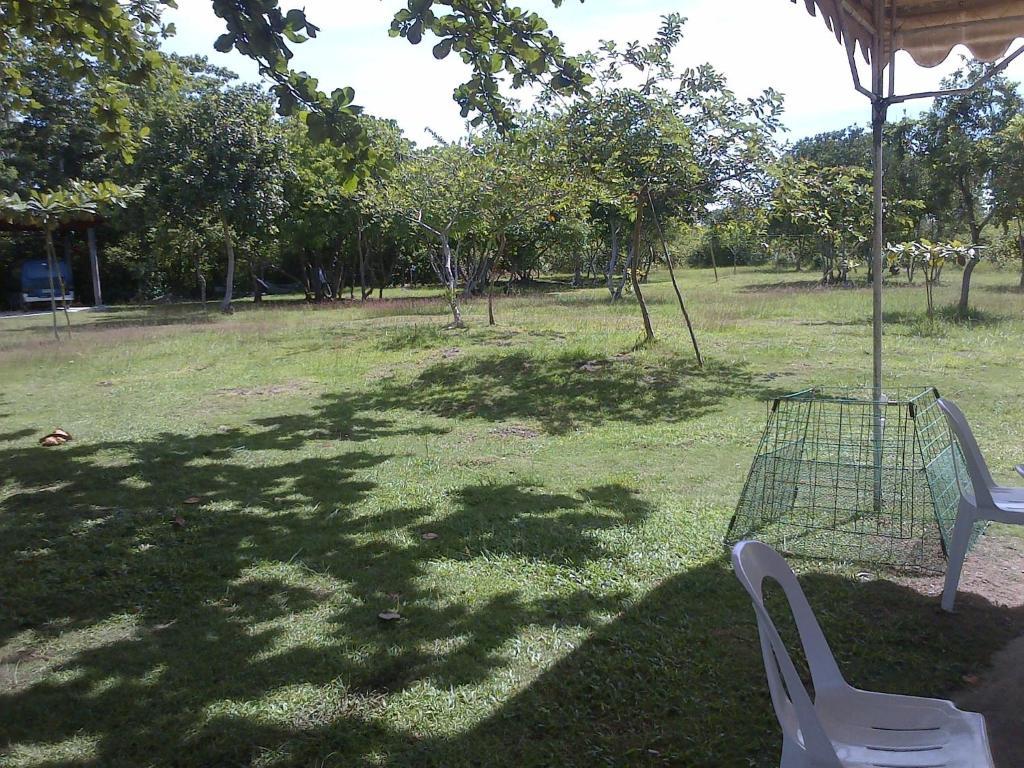 Ladaga Inn & Restaurant Panglao Dış mekan fotoğraf